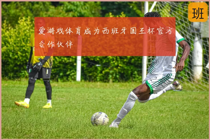 爱游戏体育成为西班牙国王杯官方合作伙伴